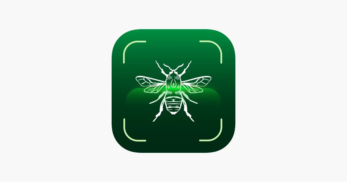 Bug Identifier: Insect ID App