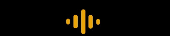 GoVoice