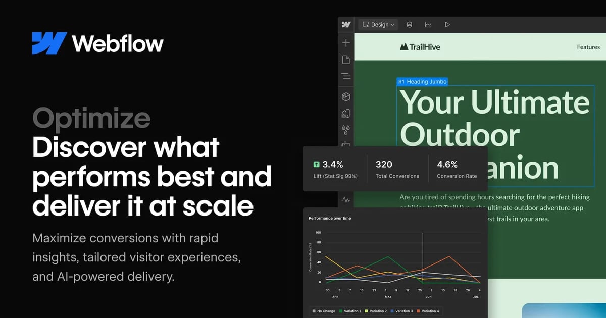 Webflow Optimize