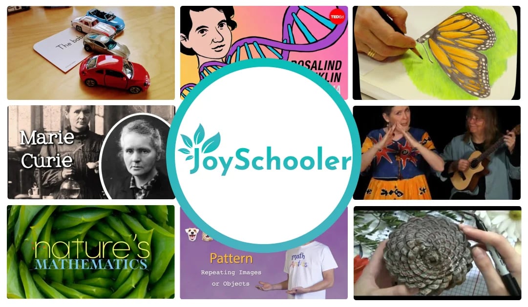 JoySchooler