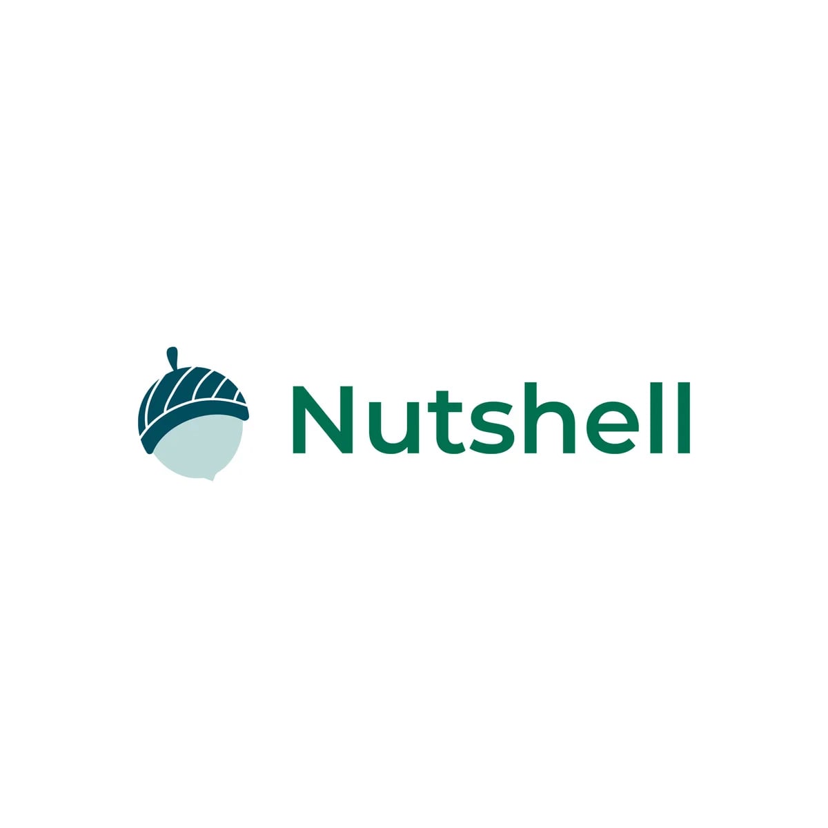 Nutshell Summaries