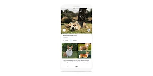 Google Lens