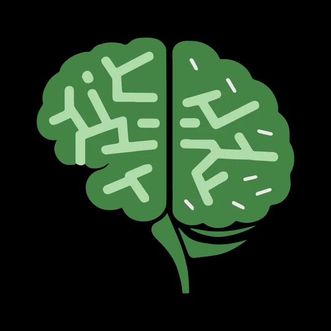Finance Brain