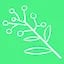 Wattle