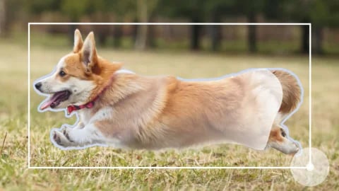 Segment Anything Model (SAM) Segment Anything Model (SAM)